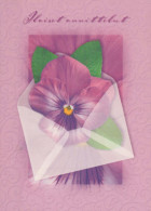 FLOWERS Vintage Postcard CPSM #PBZ776.GB - Fleurs