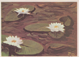 FLOWERS Vintage Postcard CPSM #PBZ174.GB - Fleurs