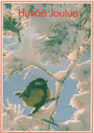 OISEAU Animaux Vintage Carte Postale CPSM #PAN027.FR - Uccelli