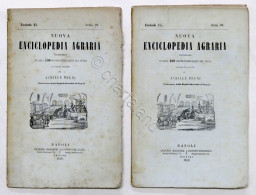 Nuova Enciclopedia Agraria - Fascicoli 14 E 15 - Anno 1859 - Fabbricare I Vini - Andere & Zonder Classificatie