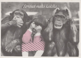 AFFE Tier Vintage Ansichtskarte Postkarte CPSM #PAN986.DE - Singes