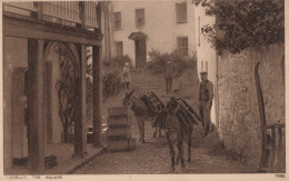ÂNE Animaux Vintage Antique CPA Carte Postale #PAA359.FR - Donkeys