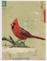 OISEAU Animaux Vintage Carte Postale CPSM #PBR655.FR - Uccelli