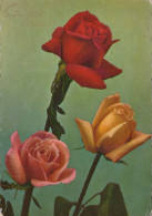 FIORI Vintage Cartolina CPSM #PAS011.IT - Fleurs
