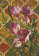 FLOWERS Vintage Ansichtskarte Postkarte CPSM #PBZ417.DE - Blumen