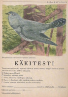 VOGEL Tier Vintage Ansichtskarte Postkarte CPSM #PBR719.DE - Pájaros