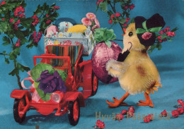 OSTERN HUHN EI Vintage Ansichtskarte Postkarte CPSM #PBP084.DE - Pâques