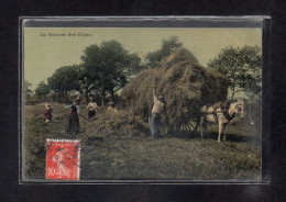 (23/04/24) THEME AGRICULTURE-CPA LA RENTREE DES FOINS - Cultures