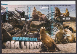 Sea Lions. (189a) - Autres & Non Classés