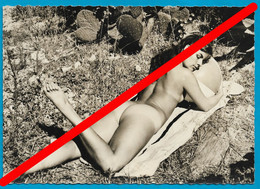 TOP CARTE PHOTO Ile Du Levant - Jolie Naturiste - Other & Unclassified