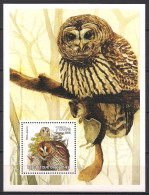 Owls. (196a) - Búhos, Lechuza