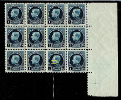 N° 215 Bloc De 12 Bdf  + Var - Luppi Et CU  - ** - - 1921-1925 Petit Montenez