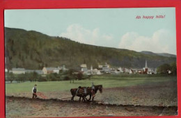 HORSES  FARMING  TEAM PLOUGHING   FAH HAPPY HILLS  - Caballos