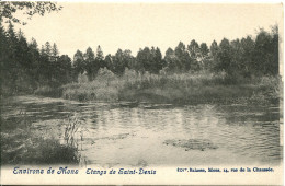 CPA - MONS (ENV.)  - ETANGS DE SAINT-DENIS - Mons