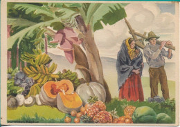 Portugal Postal Stationery , Watercolor By Domingos Rebelo , Azores , Azorian Fruits , Alverca 1963 Postmark - Postal Stationery