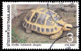 Thailand Stamp 2004 Turtle 3 Baht - Used - Thaïlande