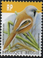 Belgique België Belgium Oiseau Vogel Bird 2019 XXX - Unused Stamps