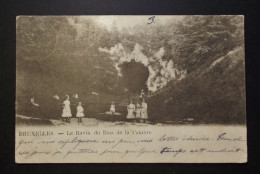 België - Belgique - Brussel - CPA - Le Ravin Du Bois De La Cambre  -  Obl. 1901 Leysin Switzerland - Parks, Gärten