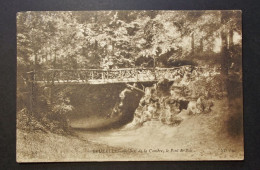 België - Belgique - Brussel - CPA  Bois De La Cambre  Le Pont De Bois - Ter Kamerenbos Obl. 1909 Brussel - Paramé ( FR ) - Foreste, Parchi, Giardini