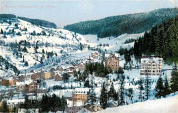73940268 Triberg Winterpanorama - Triberg