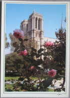 FRANCE PARIS NOTRE DAME CATHEDRAL BASILICA CHURCH KARTE CARD POSTCARD ANSICHTSKARTE CARTE POSTALE CARTOLINA POSTKARTE - Other & Unclassified