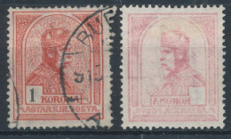 1909. Turul 1K Stamp - Misprint - Plaatfouten En Curiosa