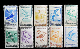1991-Romania (MNH=**) Serie 10 Valori Uccelli - Sonstige & Ohne Zuordnung