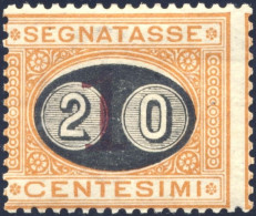 1890-Italia (MLH=*) Segnatasse 20c.su 1c.con TL (light Hinge) Mascherine,cat.Sas - Altri & Non Classificati