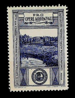 1928-Italia (MNH=**) Pro Opere Assistenziali - Erinnofilie
