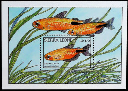1988-Sierra Leone (MNH=**) Foglietto 1 Valore Pesci - Sierra Leona (1961-...)