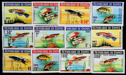 1964-Guinea (MNH=**) Serie 12 Valori Pesci - República De Guinea (1958-...)