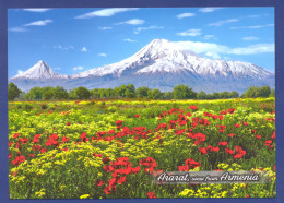 Armenia. Mountain ARARAT (5165m) - Arménie