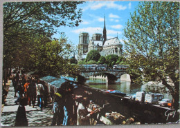 FRANCE PARIS NOTRE DAME CATHEDRAL BASILICA CHURCH KARTE CARD POSTCARD ANSICHTSKARTE CARTE POSTALE CARTOLINA POSTKARTE - Other & Unclassified