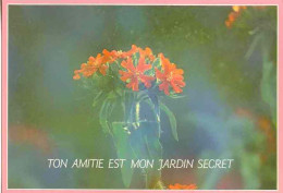 CPSM  - TON AMITIE EST MON JARDIN SECRET - Autres & Non Classés