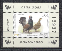 Montenegro 2019-Europa: National Birds S/S - Montenegro