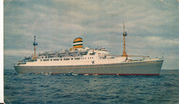 S.S. MAASDAM           2 AFBEELDINGEN - Steamers