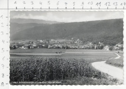 Dombresson - Vue Générale - Dombresson 