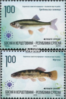 Bosnien - Serbische Republ. 512-513 (kompl.Ausg.) Postfrisch 2010 Fische - Bosnie-Herzegovine