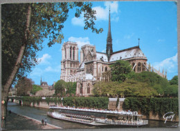 FRANCE PARIS NOTRE DAME CATHEDRAL BASILICA CHURCH KARTE CARD POSTCARD ANSICHTSKARTE CARTE POSTALE CARTOLINA POSTKARTE - Other & Unclassified