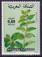 MAROC - Flore, Menthe, Aloe - Y&T N° 967-968 - 1984 - MNH - Maroc (1956-...)