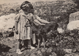 Zürich - Zoo Garten , Rehkitz 1948 - Zürich