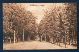 Appeldoorn. Loolaan. Allée Est Partant Du Palais Royal. (1735). - Apeldoorn