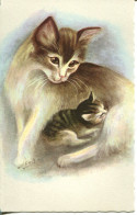 CPA -  CARTE ILLUSTREE - CHATS ((301/3) - Katzen