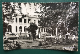 Yaoundé, Le Palais Du Gouvernement, Lib "Au Messager", N° 706 - Camerún