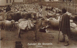 Romania - Shepherds - REAL PHOTO - Rumänien