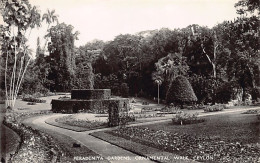 Sri Lanka - Peradeniya Gardens, Ornamental Walk - Publ. Plâté Ltd. 30 - Sri Lanka (Ceilán)