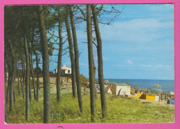 D85 - LA TRANCHE SUR MER - LA GRIÈRE - LES PINS ET LA PLAGE DE LA GRIÈRE - CPM Grand Format  - La Tranche Sur Mer