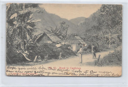 Jamaica - Road To Castleton - Publ. A. Duperly & Sons 15 - Giamaica
