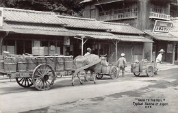 JAPAN - Back To The Soil - Typical Scene Of Japan - REAL PHOTO - Other & Unclassified
