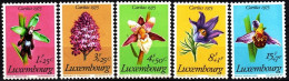 LUXEMBOURG 1975 FLORA Plants: Flowers. Caritas. Complete Set, MNH - Altri & Non Classificati